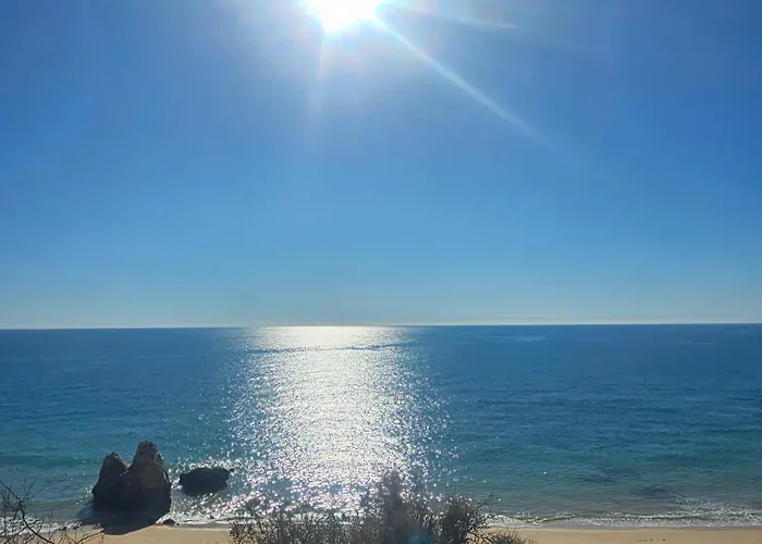 Zizas House T2 Palace *